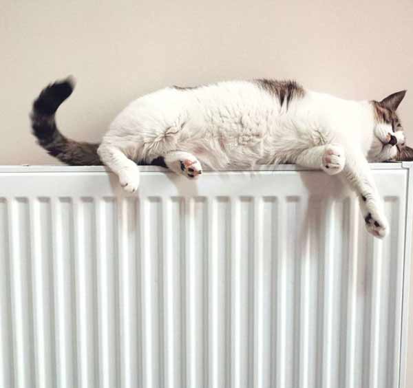 Radiator Installations